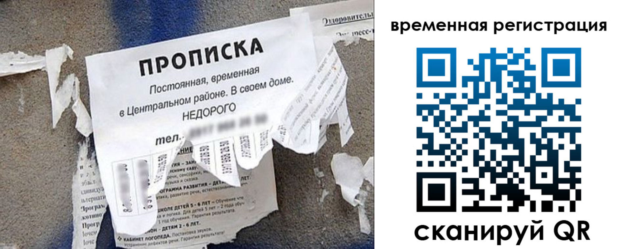 прописка от собственника в Сосновом Бору