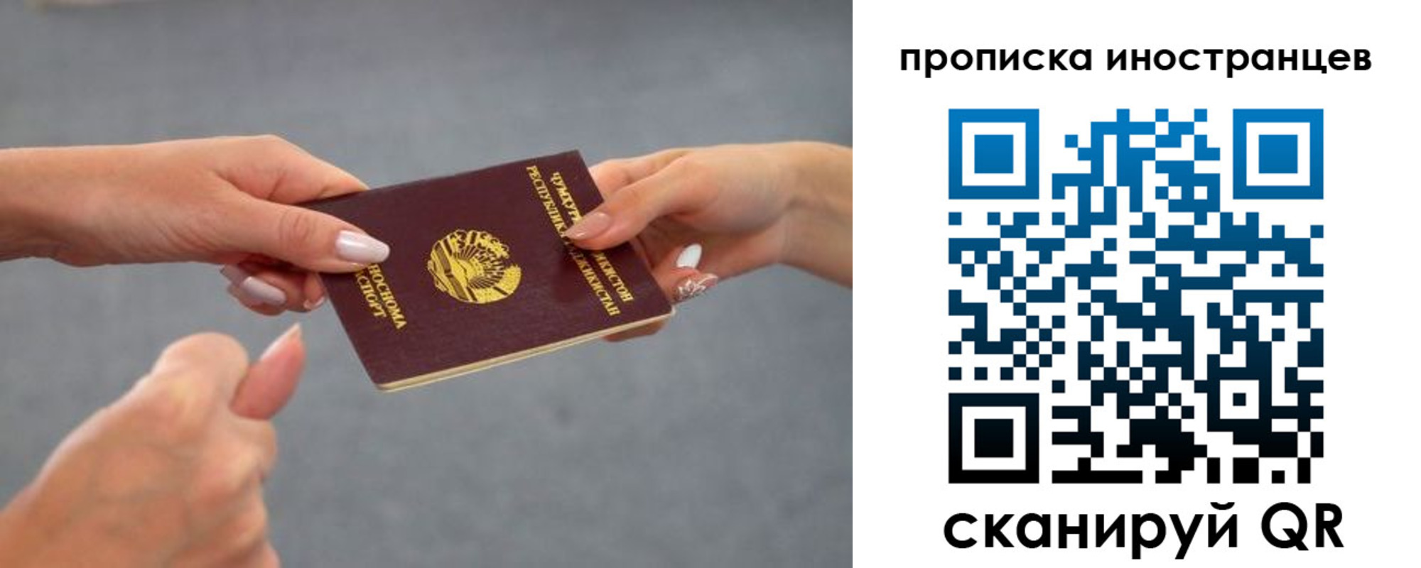 где прописаться в Сосновом Бору